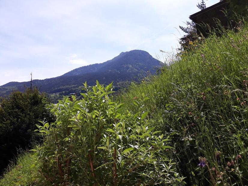 Ferienwohnung Fendt Berchtesgaden Exterior photo